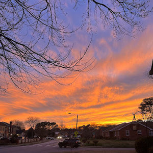 Meet your Posher, Shelby